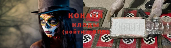 крисы Вязьма