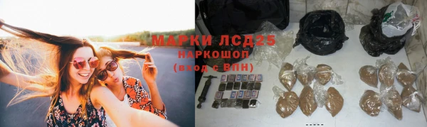 прущая мука Вяземский