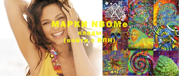 прущая мука Вяземский
