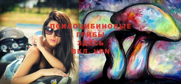apvp Вязники