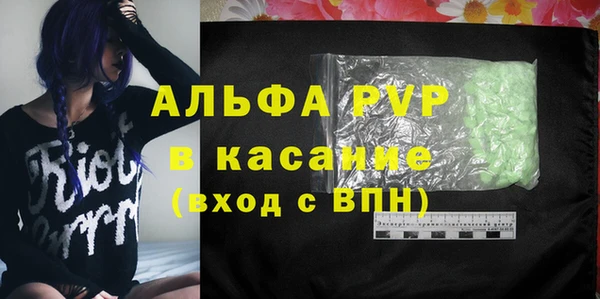 прущая мука Вяземский