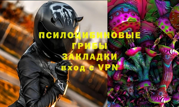 apvp Вязники