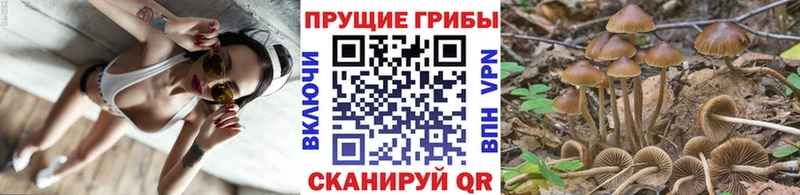 закладка  Нефтеюганск  ОМГ ОМГ зеркало  Галлюциногенные грибы мицелий 
